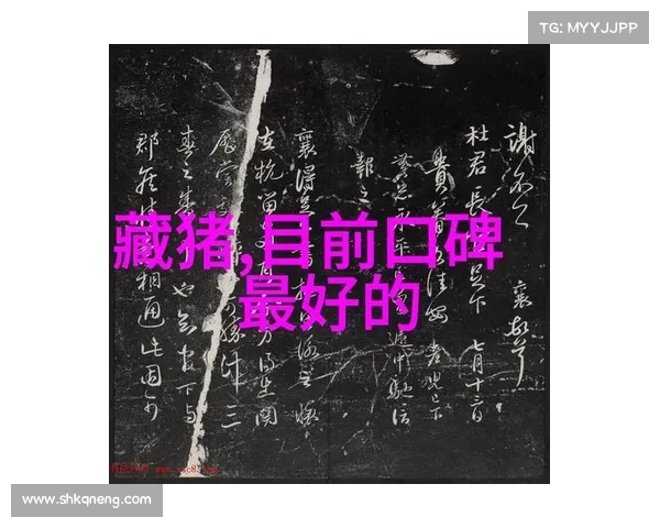 筑巢指南:家园建筑与管理全攻略 筑巢指南:家园建筑与管理全攻略