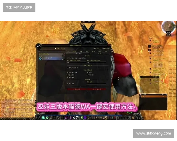 魔兽世界正服视角宏:掌握最大视界 魔兽世界正服视角宏:掌握最大视界